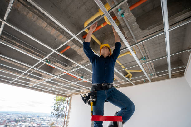 Best Commercial Plumbing Services  in Greensboro, AL